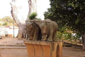Santander: The route where I was born with typical traditional food in rural area