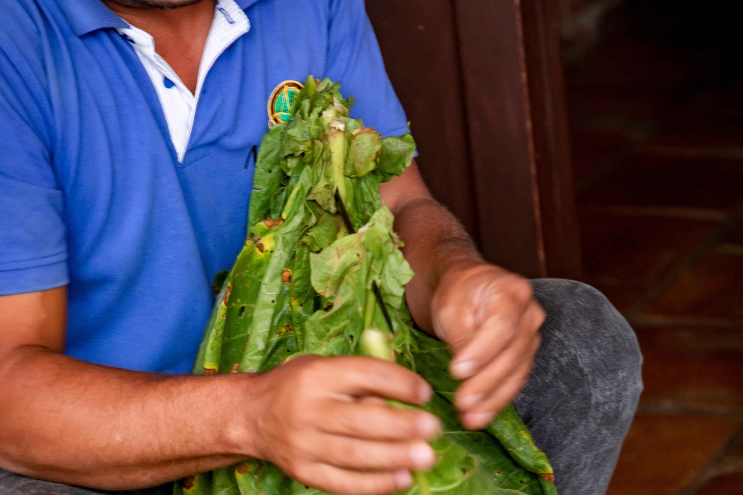 Santander: Tobacco tour with gastronomic experience in a rural zone