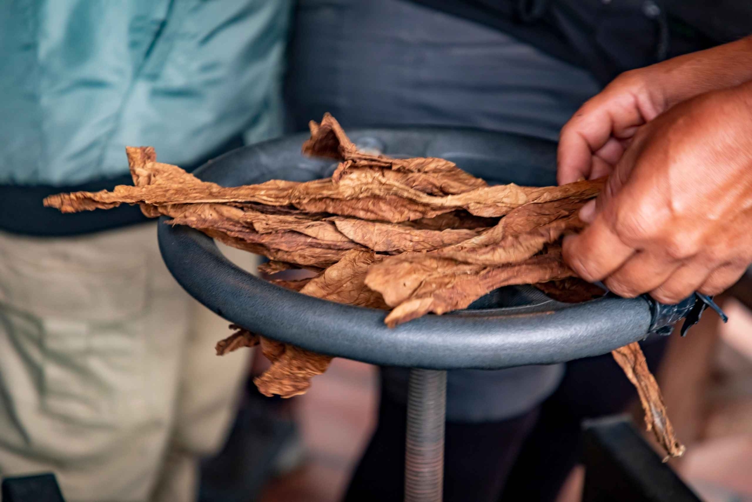 Santander: Tobacco tour with gastronomic experience in a rural zone