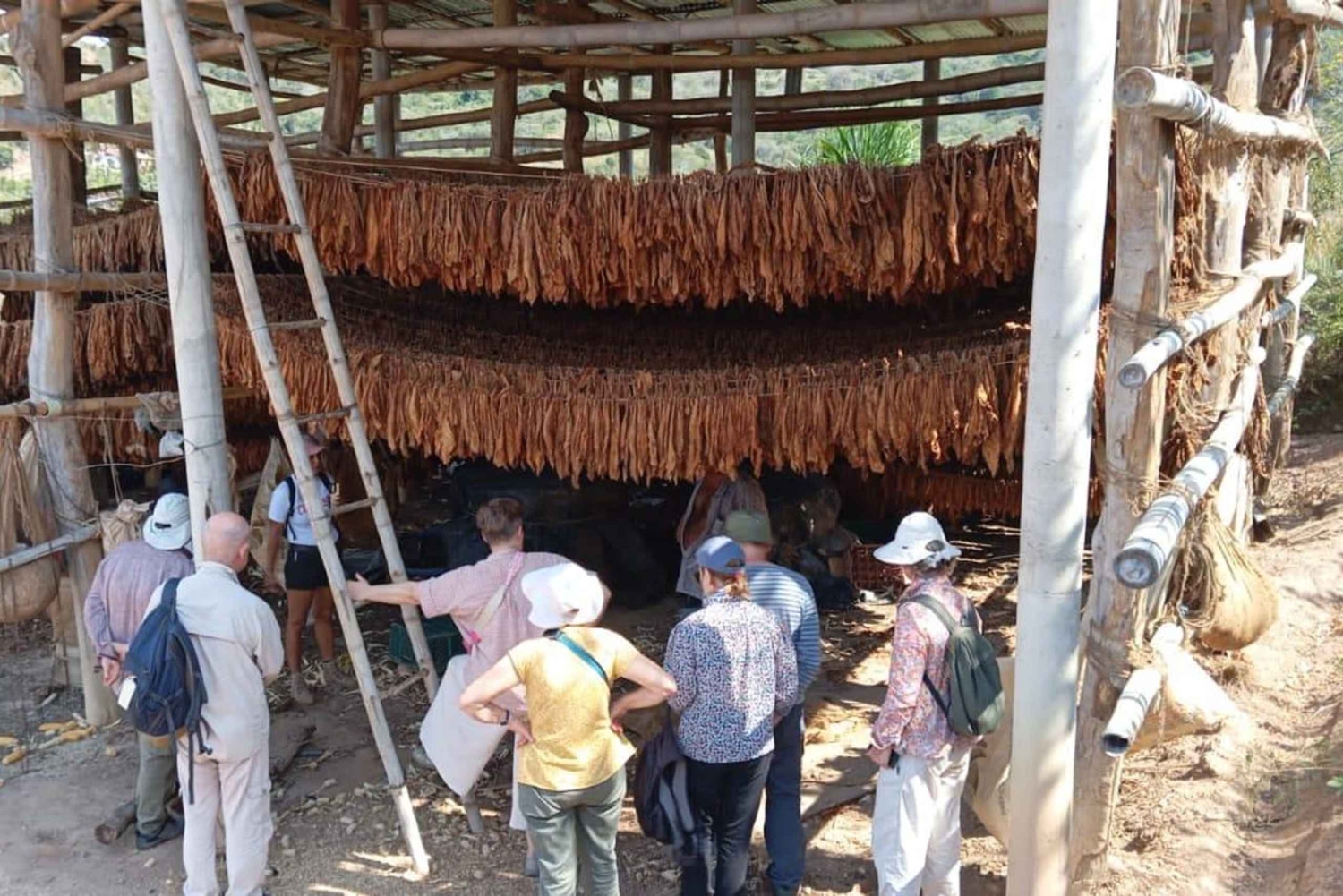 Santander: Tobacco tour with gastronomic experience in a rural zone