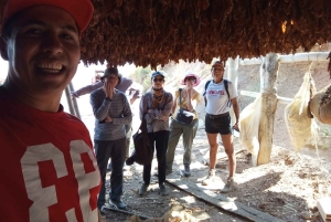 Santander: Tobacco tour with gastronomic experience in a rural zone