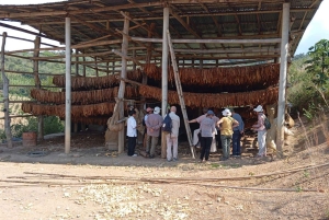 Santander: Tobacco tour with gastronomic experience in a rural zone
