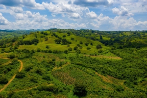 Randonnée pittoresque à cheval dans une réserve de montagne tropicale