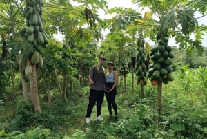 Randonnée pittoresque à cheval dans une réserve de montagne tropicale