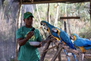 Randonnée pittoresque à cheval dans une réserve de montagne tropicale