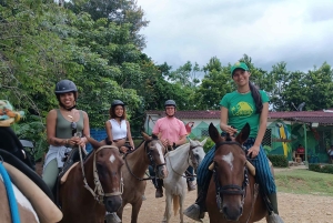 Живописная прогулка верхом на лошади по тропическому горному заповеднику