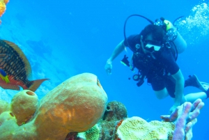 Cartagena: Scuba Diving Day Trip at Playa Blanca with Lunch