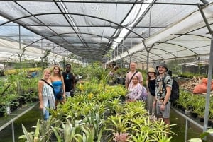 Visite de la Moravia, une commune secrète