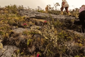Sequilé, Cundinamarca: ioga, caminhada e meditação - Cânion das Águias