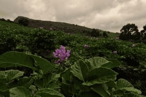 Sequilé, Cundinamarca: ioga, caminhada e meditação - Cânion das Águias