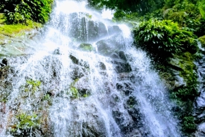 Excursão de um dia à Serra Minca