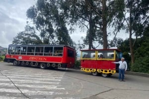 Tour met de toeristentrein van La Sabana naar Zipaquirá en Cajicá