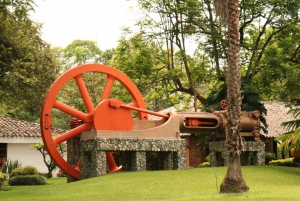 Sugar Cane Museum and Hacienda Paraíso Day Tour