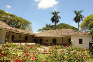 Visita de un día al Museo de la Caña de Azúcar y la Hacienda Paraíso