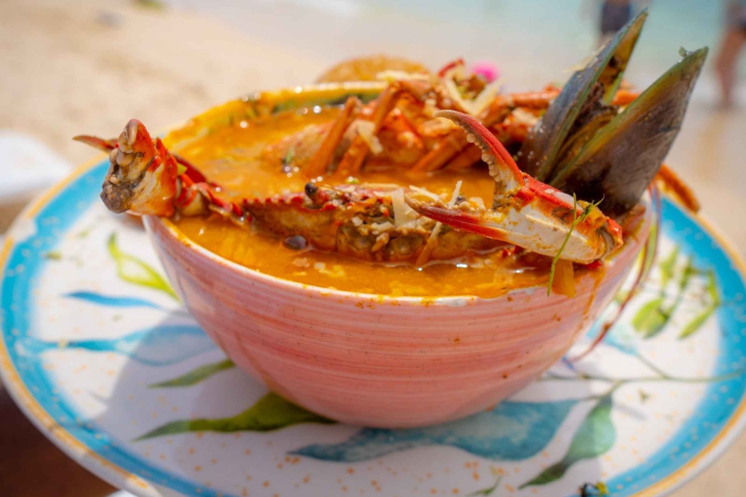 Solnedgång i Baru: Middag med plankton och en oförglömlig solnedgång från Cartagena