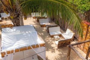 Solnedgång i Baru: Middag med plankton och en oförglömlig solnedgång från Cartagena