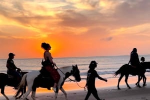Закат на лошадях в Картахене