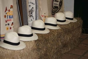 Tardeo Paisa: Medellín - Provenza Walking Tour