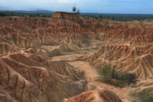 Tatacoa-ørkenen – 4-timers tur fra Villa Vieja (Huila)