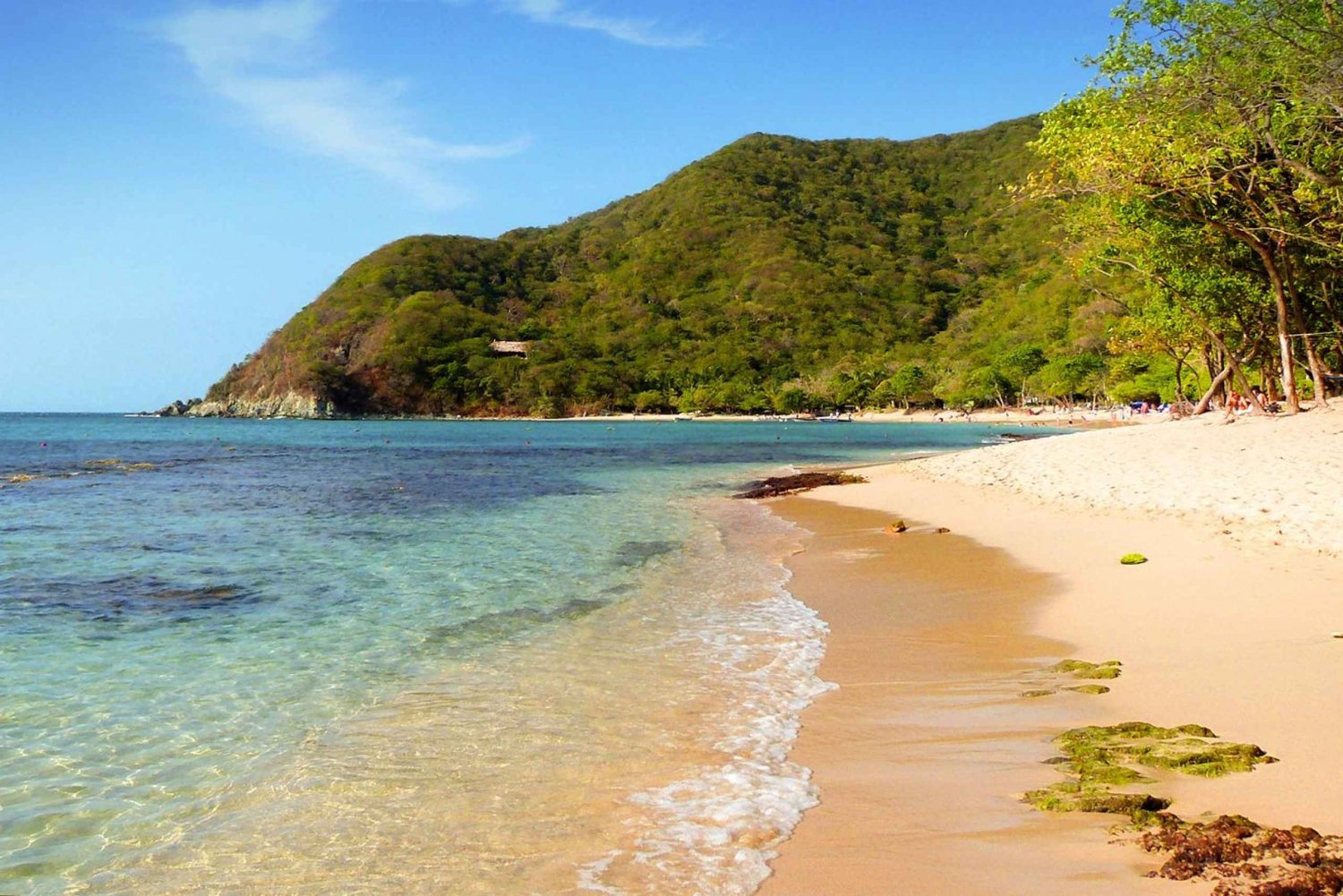 Santa Marta: Tayrona Bahía Concha Con Almuerzo y Playa