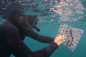 Tayrona: Caribische snorkeltocht per boot