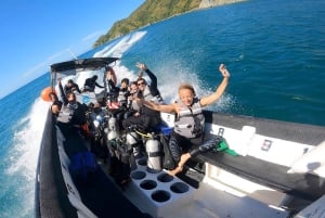 Parque Nacional Tayrona: Buceo Para Principiantes Con Guías Expertos