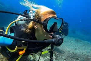 Parque Nacional Tayrona: Buceo Para Principiantes Con Guías Expertos