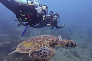 Parque Nacional Tayrona: Buceo Para Principiantes Con Guías Expertos