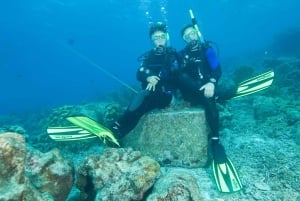 Национальный парк Тайрона: дайвинг-тур для начинающих