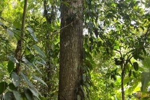 Tayrona Park 2 Days and 1 Night. An Ancestral Route.