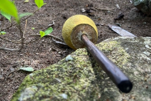 Tayrona Park 2 Days and 1 Night. An Ancestral Route.