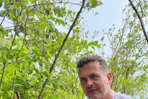 Tayrona Park 2 Days and 1 Night. An Ancestral Route.