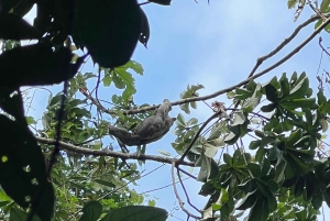 Tayrona Park 2 Days and 1 Night. An Ancestral Route.