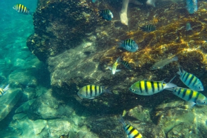 TAYRONA, SNORKEL & BEACH