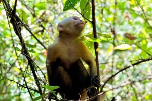Personalized Tayrona Trekking x 2 Days: Jungle, Beaches, and Indigenous Culture