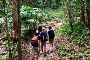 Personalized Tayrona Trekking x 2 Days: Jungle, Beaches, and Indigenous Culture