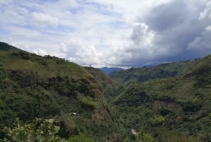 Tejo-spiloplevelse med en lokal