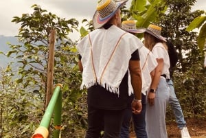 L'incroyable expérience du café : les secrets de Medellín