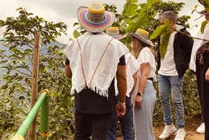 L'incroyable expérience du café : les secrets de Medellín