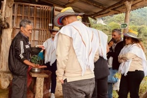 L'incroyable expérience du café : les secrets de Medellín