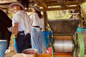 L'incroyable expérience du café : les secrets de Medellín