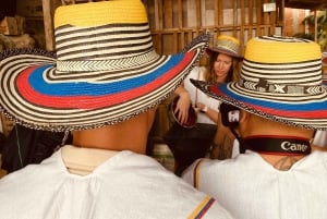 L'incroyable expérience du café : les secrets de Medellín