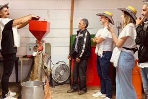 L'incroyable expérience du café : les secrets de Medellín