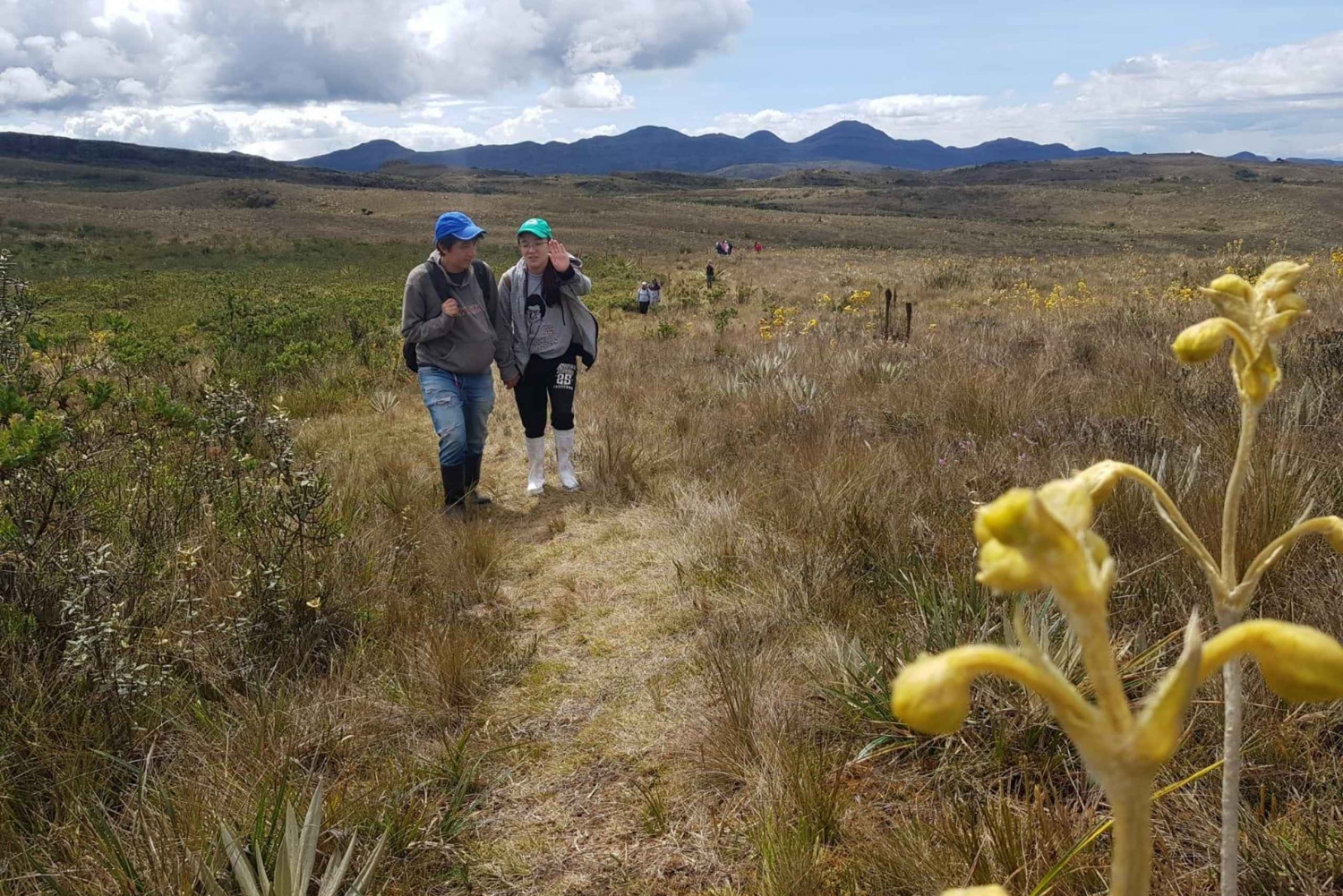 Depuis Bogota : Trekking à la face indienne