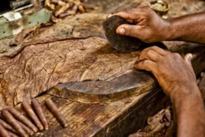 Tobacco Experience in Barichara: Torcido, Tasting & Local Tradition