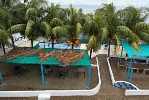 Volcán del totumo + Playa : Ruta turística entrada, almuerzo y club playa