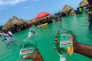 Tour op het eiland van de feesten Cholon