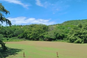 Tour comunitário Biodiversidade Latatacoa Deserto Villavieja