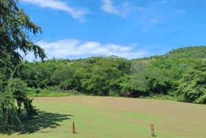 Tour comunitário Biodiversidade Latatacoa Deserto Villavieja