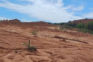 Visite de la communauté et de la biodiversité dans le désert de Tatacoa Neiva